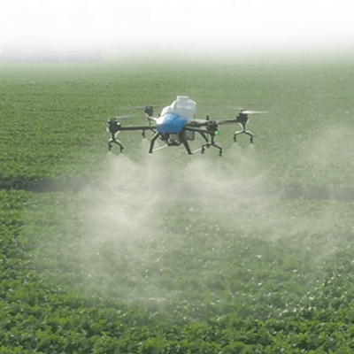field processing, application of plant protection products, application of fertilizers by drones, field processing services, drone in the field, agrodrone, drone, agri spray drone, agrodrone, agrodrones, field processing, dji Agras T10, dji Agras T30, dji Agras T16, dji Agras T20, dji Agras T40, dji Agras T50, unmanned aerial vehicles for agriculture, the use of drones in agriculture, agricultural aviation, drones for crop monitoring, agronomy technologies using drones, agrodrones, quadcopter for field cultivation, quadcopter agrodrone, quadcopter, agricultural technology, drone sprayer, agrodrone