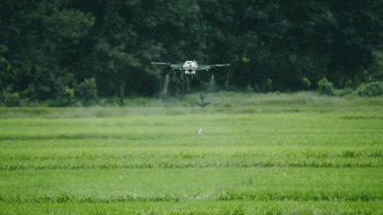 DJI Ідеальний дрон для фермерів,, больше про dji agras t10, cільськогосподарськй мультикоптер dji T10,квадрокоптер dji t10, Дрон обприскувач DJI Agras T10 , drone . agrodrone , dji agras T20 , dji agras T30 ,dji agras T16 ,dji agras T40 ,dji agras T50 , agri spray drone , agriculture , дрон ,дрон обприскувач ,внесення ззр ,внесення трихограмиDJI Ідеальний дрон для фермерів,, больше про dji agras t10, cільськогосподарськй мультикоптер dji T10,квадрокоптер dji t10, Дрон обприскувач DJI Agras T10 , drone . agrodrone , dji agras T20 , dji agras T30 ,dji agras T16 ,dji agras T40 ,dji agras T50 , agri spray drone , agriculture , дрон ,дрон обприскувач ,внесення ззр ,внесення трихограми Дрон обприскувач DJI Agras T10 , drone . agrodrone , dji agras T20 , dji agras T30 ,dji agras T16 ,dji agras T40 ,dji agras T50 , agri spray drone , agriculture , дрон ,дрон обприскувач ,внесення ззр ,внесення трихограми,DJI Ідеальний дрон для фермерів,, больше про dji agras t10, cільськогосподарськй мультикоптер dji T10,квадрокоптер dji t10, Дрон обприскувач DJI Agras T10 , drone . agrodrone , dji agras T20 , dji agras T30 ,dji agras T16 ,dji agras T40 ,dji agras T50 , agri spray drone , agriculture , дрон ,дрон обприскувач ,внесення ззр ,внесення трихограмиDJI Ідеальний дрон для фермерів,, больше про dji agras t10, cільськогосподарськй мультикоптер dji T10,квадрокоптер dji t10, Дрон обприскувач DJI Agras T10 , drone . agrodrone , dji agras T20 , dji agras T30 ,dji agras T16 ,dji agras T40 ,dji agras T50 , agri spray drone , agriculture , дрон ,дрон обприскувач ,внесення ззр ,внесення трихограми, DJI Ідеальний дрон для фермерів,, больше про dji agras t10, cільськогосподарськй мультикоптер dji T10,квадрокоптер dji t10, Дрон обприскувач DJI Agras T10 , drone . agrodrone , dji agras T20 , dji agras T30 ,dji agras T16 ,dji agras T40 ,dji agras T50 , agri spray drone , agriculture , дрон ,дрон обприскувач ,внесення ззр ,внесення трихограмиDJI Ідеальний дрон для фермерів,, больше про dji agras t10, cільськогосподарськй мультикоптер dji T10,квадрокоптер dji t10, Дрон обприскувач DJI Agras T10 , drone . agrodrone , dji agras T20 , dji agras T30 ,dji agras T16 ,dji agras T40 ,dji agras T50 , agri spray drone , agriculture , дрон ,дрон обприскувач ,внесення ззр ,внесення трихограми